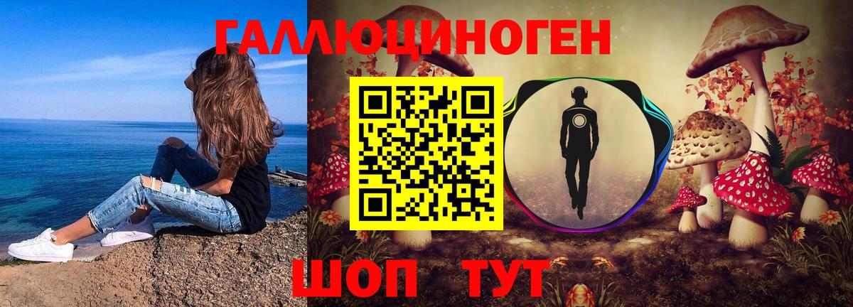 Псилоцибиновые грибы Psilocybe  Вход с VPN  Щёлково 